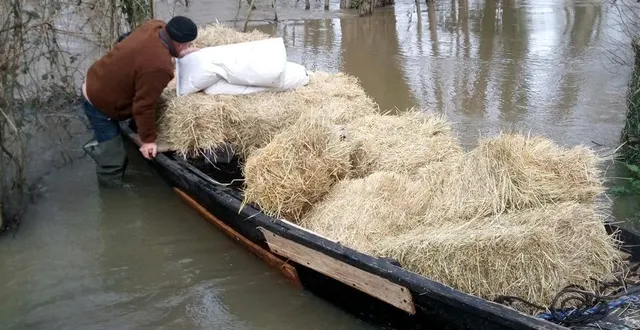 photo  sur sa barque, pierre a transporté quatorze bottes de foins .  &copy;  co 