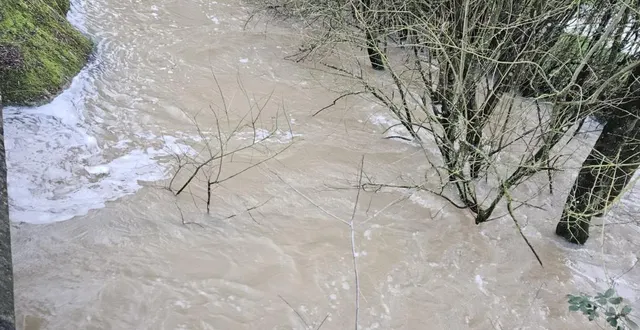 photo  le 18 février au soir, le brionneau sort de son lit tranquillement et s’étend dans le pré gentiment.  &copy;  co 