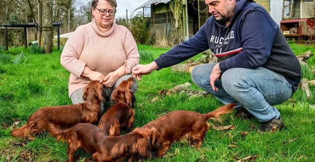 photo  christelle le pelley élève des teckels à rouez, dans la sarthe.  &copy;  photo le maine libre - yvon loué 