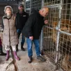 photo  brissac loire aubance, 19 février 2026. frédérique beaucousin-mirbeau et francky williams près des cages aux lions, avec deux de leurs dix enfants, nathalie et willy. le terrain sur lequel réside cette famille, au milieu des animaux, se rétrécit au fur et à mesure que la loire monte. 