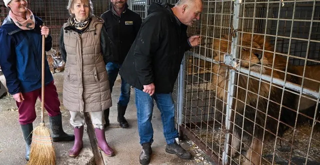 photo  brissac loire aubance, 19 février 2026. frédérique beaucousin-mirbeau et francky williams près des cages aux lions, avec deux de leurs dix enfants, nathalie et willy. le terrain sur lequel réside cette famille, au milieu des animaux, se rétrécit au fur et à mesure que la loire monte.  &copy;  co – laurent combet 