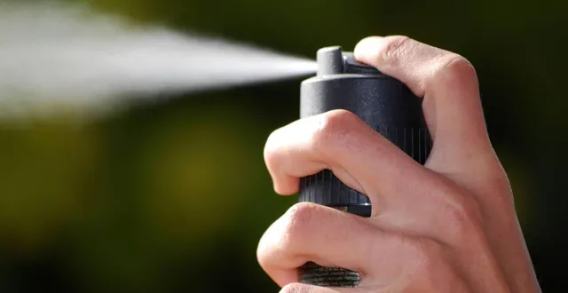 photo  le prévenu a expliqué avoir utilisé une bombe lacrymogène pour se défendre, alors qu’un des voisins de la maison qu’il venait de cambrioler le poursuivait avec un couteau de chasse.  &copy;  archives ouest-france 