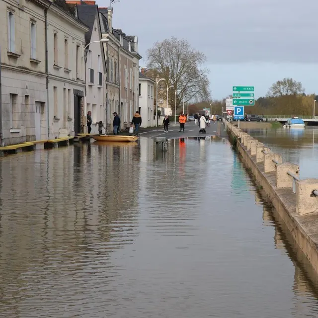 photo au lion-d'angers, l’oudon a envahi une partie du quai d’anjou dans la nuit du jeudi 19 au vendredi 20 février.  ©  0.0