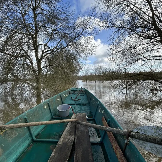 Depuis la route, Daniel Goguet se faufile entre les arbres pour regagner sa maison. Ouest-France photo depuis la route, daniel goguet se faufile entre les arbres pour regagner sa maison. © ouest-france