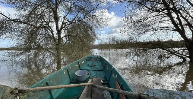 photo  depuis la route, daniel goguet se faufile entre les arbres pour regagner sa maison.  &copy;  ouest-france 
