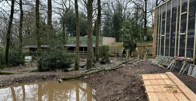 photo  le zoo de jurques a rouvert ses portes au public, le 14 février, tandis que des chantiers d’aménagement sont toujours en cours. l’ensemble des enclos devraient être prêts au printemps afin d’accueillir quatre nouvelles espèces.  &copy;  ouest-france 