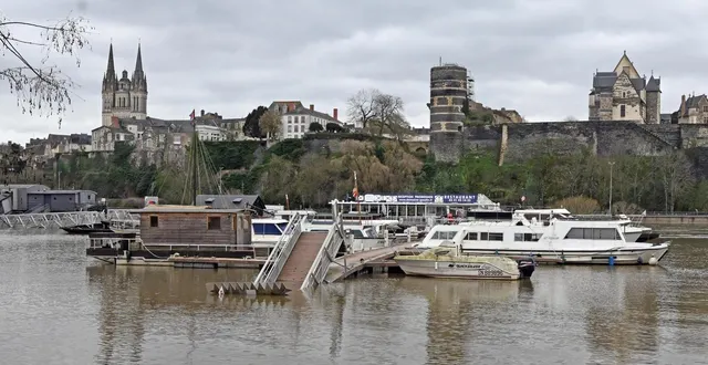 photo  la maine en crue à angers (maine-et-loire).  &copy;  jérôme fouquet/ouest-france 