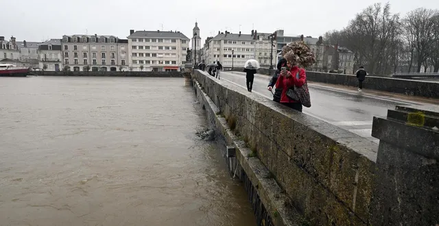 photo  à angers, le niveau de la maine ne devrait pas dépasser 6,39 m, ce samedi 21 février 2026.  &copy;  jérôme fouquet/ouest-france 