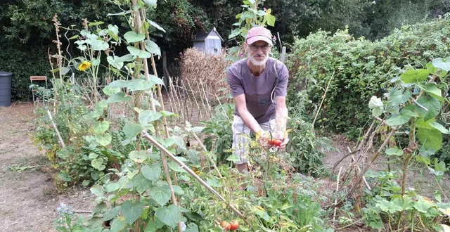 photo  pierrick dans le jardin de jacqueline.  &copy;  co 