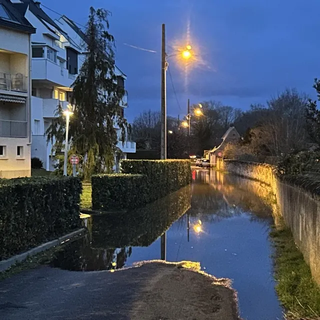 Sur l’île Offard, la rue des Aulnes est submergée. CO - Yvan GEORGET photo sur l’île offard, la rue des aulnes est submergée. © co - yvan georget