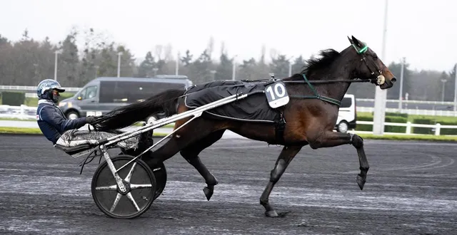 photo  frank gio, confié à matthieu abrivard, reste sur une 4e place dans le prix d’amérique.  &copy;  alex zona - trotteur français 