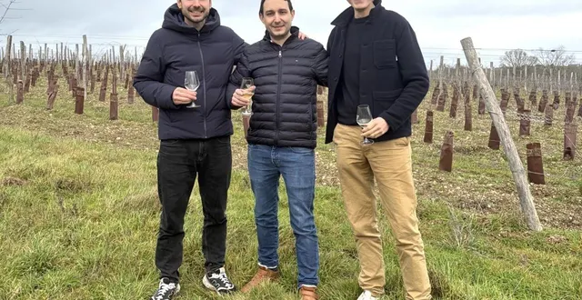 photo  aloïs, amaury et mayeul bazin de jessey ont déposé une offre de reprise du domaine du closel.  &copy;  co 