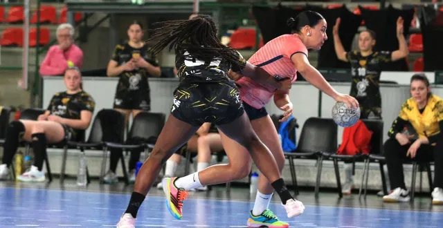 photo  les nantaises continuent leur lutte chaque semaine.  &copy;  photo ouest-france 