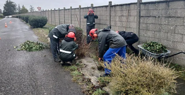 photo  une formation à la taille des haies est enseignée cette semaine.  &copy;  ouest-france 
