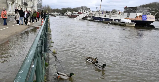 photo  angers et le maine-et-loire sont toujours en vigilance rouge inondations. mais la pluie qui s’acharne sur la ville et le département devrait enfin cesser ce lundi 23 février.  &copy;  philippe renault / ouest-france 