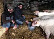 photo  montilliers, 18 février 2025. fidèles du salon de l’agriculture, matthieu et damien charbonnier y défendront de nouveau la race de moutons rouge de l’ouest. 