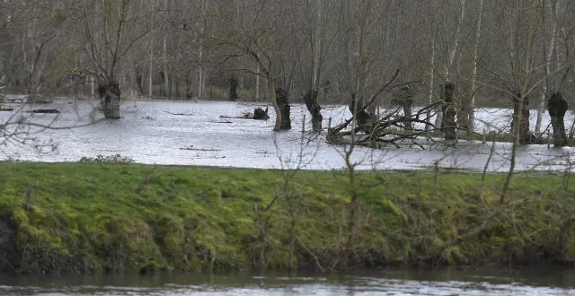 photo  le marais poitevin est la plus grande zone humide de la façade atlantique.  &copy;  co - marie delage 