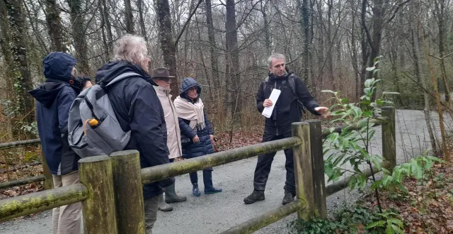 photo  olivier loir de la lpo indique aux élus la présence de nombreux lauriers palmes, espèce invasive  &copy;  ouest-france. 