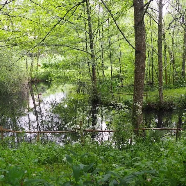 photo la propriété est traversée par un ruisseau dans lequel se mêlent les eaux de nombreuses sources.  ©  michel gayout