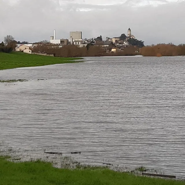 La Loire s’est élargie à près de 1,4 kilomètre au niveau de Saint-Florent-le-Vieil (Maine-et-Loire). Ouest-France photo la loire s’est élargie à près de 1,4 kilomètre au niveau de saint-florent-le-vieil (maine-et-loire). © ouest-france