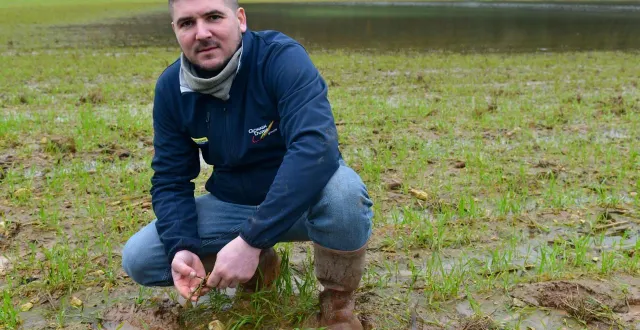 photo  les terres d’antonin goulard céréalier à saint-maxire sont en partie sous les eaux en raison des volumes élevés de précipitations enregistrés depuis un mois.  &copy;  co - marie delage 