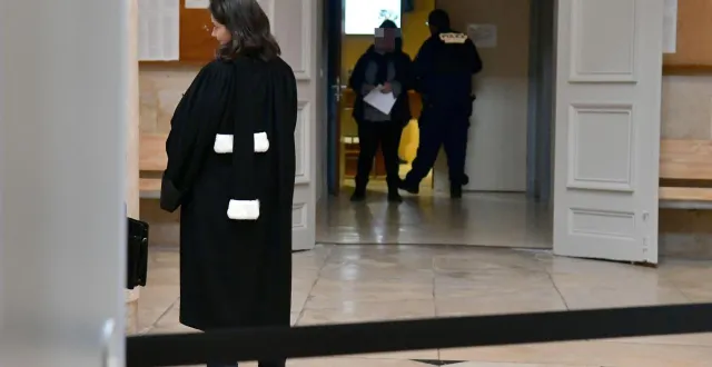 photo  placée sous contrôle judiciaire le 31 octobre 2025 pour avoir violenté un homme avec qui elle partage sa vie depuis sept mois, shella, est jugée ce lundi 23 février 2026 au tribunal judiciaire de niort.  &copy;  co - marie delage 