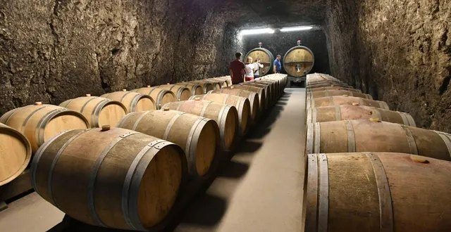 photo  les producteurs de vins et spiritueux français avaient particulièrement fait les frais des nouveaux droits de douane en 2025 (photo d’illustration).  &copy;  thierry creux / ouest-france 