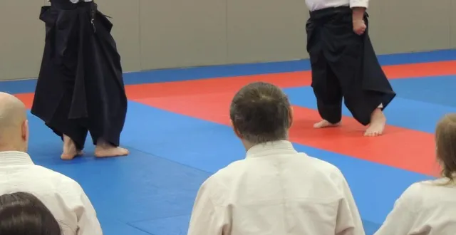 photo  le maître patrick bénézi (en haut à droite) en démonstration devant les stagiaires.  &copy;  ouest-france 