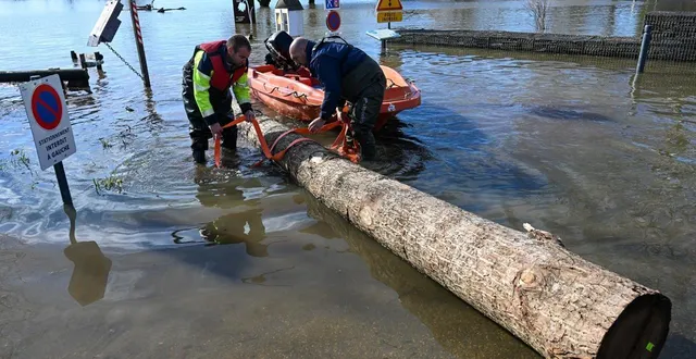 photo  depuis vendredi, les agents municipaux d’écouflant récupèrent des troncs d’arbres qui s’échouent sur les rives de la sarthe.  &copy;  laurent combet 