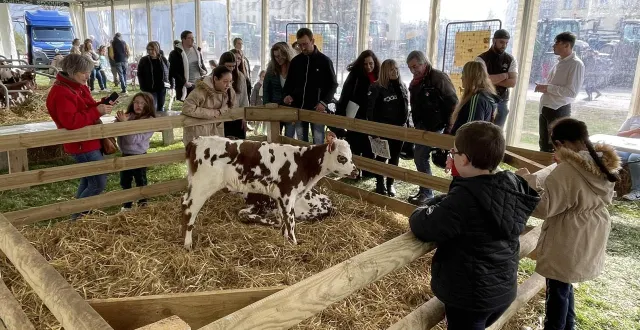 photo  la fête de la normandie, l’année dernière.  &copy;  archives ouest-france 
