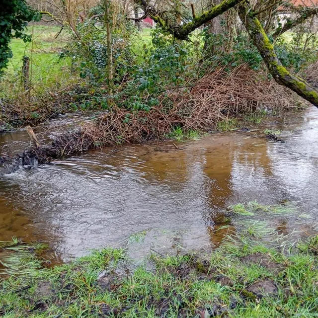 2026-02 Ruisseau les Nussons Le lit du ruisseau est encombré de nombreuses ronces qui a force d’accumulation, finissent par obstruer le cours d’eau. Ouest-France photo 2026-02 ruisseau les nussons le lit du ruisseau est encombré de nombreuses ronces qui a force d’accumulation, finissent par obstruer le cours d’eau. © ouest-france