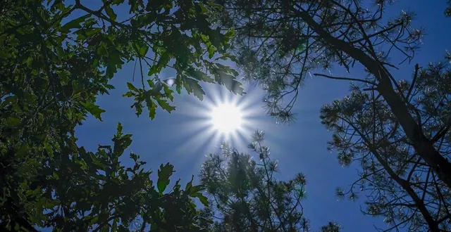 photo  après de fortes pluies, le beau temps… mais aussi une douceur exceptionnelle en sarthe.  &copy;  vincent michel / ouest-france 