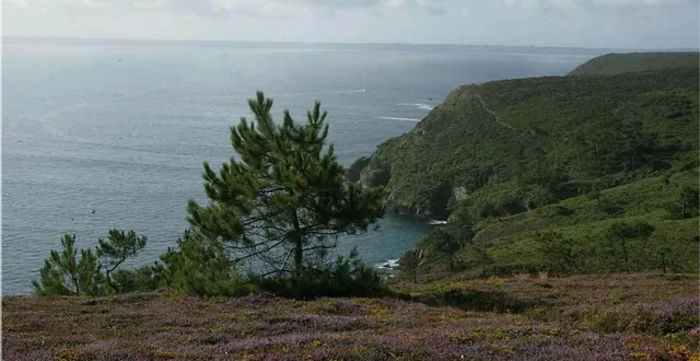 photo  le cap de la chèvre en presqu’île de crozon, où a été entendu un bruit sourd.  &copy;  archives ouest-france 
