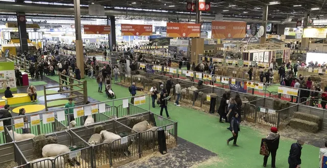 photo  le hall 1 du salon de l’agriculture, à paris, photographié le 24 février 2026, deux jours après une rixe autour d’un stand de nougat.  &copy;  quentin de groeve / hans lucas via afp 