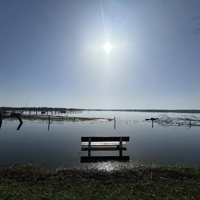 Les marais blancs, vers Carentan (Manche), ce mercredi 25 février 2026. Ouest-France photo les marais blancs, vers carentan (manche), ce mercredi 25 février 2026. © ouest-france