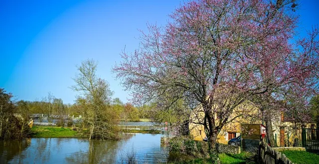 photo  ce mercredi 25 février, il a fait plus de 20 degrés en sarthe.  &copy;  le maine libre 