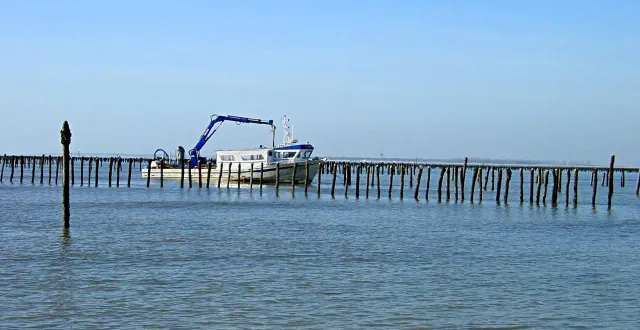photo  les producteurs, sans indemnisation possible, craignent pour leur trésorerie.  &copy;  archives 