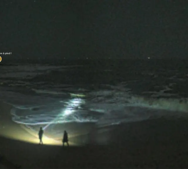 photo des passants scrutant la plage valentin, mercredi 25 février, aux alentours de 23 h.  ©  webcam skaping