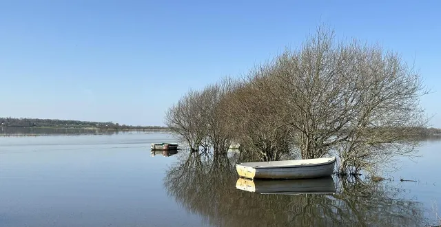 photo  à liesville-sur-douve (manche), le spectacle des marais blancs était grandiose, mercredi 25 février 2026.  &copy;  ouest-france 