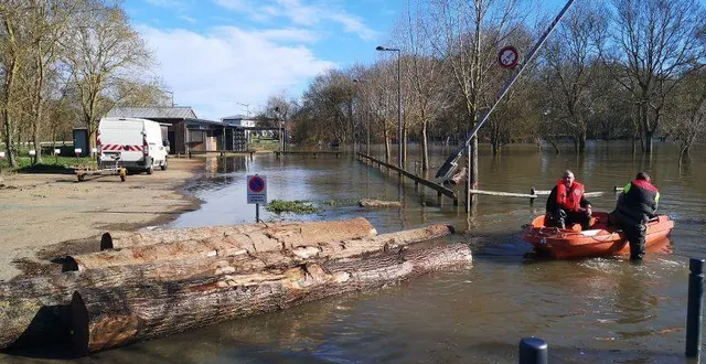 photo  les troncs regroupés à la guinguette et tronçonnés par les services techniques, ce mercredi 25 février.  &copy;  ouest-france 