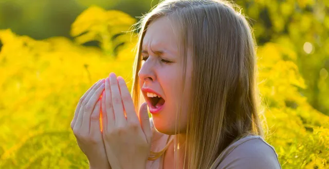 photo  ce vendredi 27 février 2026, le site d’alerte de qualité de l’air en pays de la loire airpdl.org a placé la vendée en alerte « risque élevé pollens ».  &copy;  photo d’illustration : attila barabas / istock 