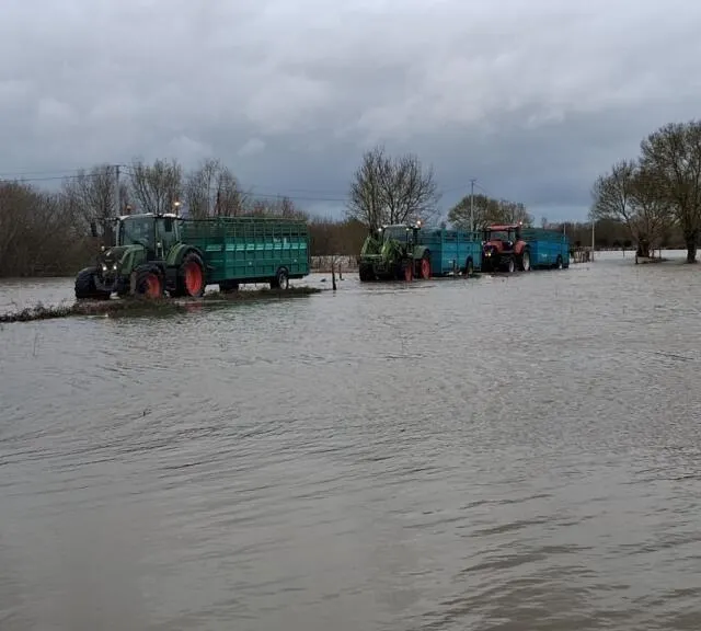 Les vaches de Maxime ont pu être évacuées à temps. Maxime Crasnier photo les vaches de maxime ont pu être évacuées à temps. © maxime crasnier