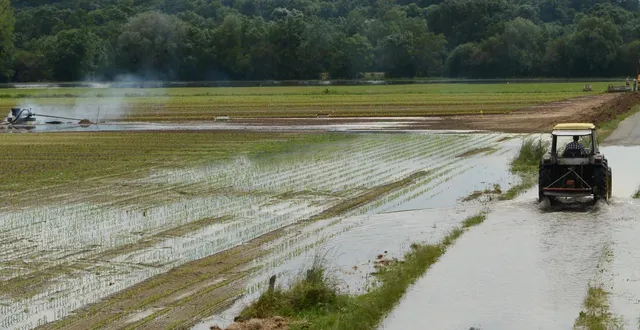 photo  la loire est sortie de son lit en inondant l’île de chalonnes. les routes sont bonnes à refaire à de nombreux endroits.  &copy;  co – laurent combet 