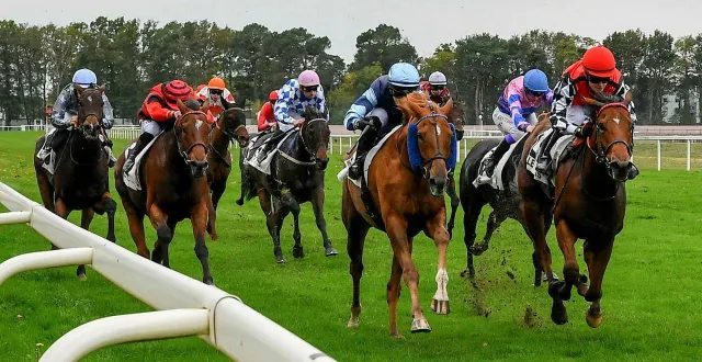 photo  huit courses de galop sont prévues mercredi 4 mars 2026 sur l’hippodrome du mans.  &copy;  archives le maine libre - yvon loué 