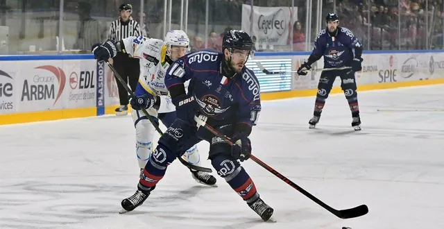 photo  nicolas ritz est de retour dans le groupe angevin pour affronter anglet ce dimanche 1er mars 2026 en ligue magnus.  &copy;  sébastien aubinaud 