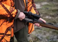photo  une battue aux sangliers va avoir lieu à beaucouzé, près d’angers, le jeudi 5 mars 2026. 