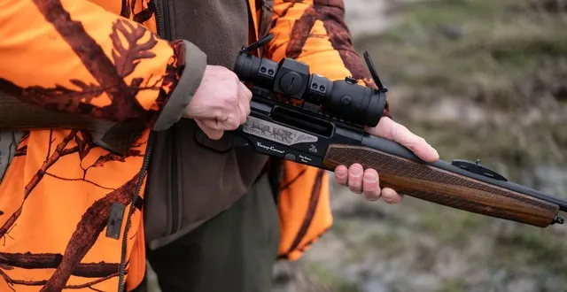 photo  une battue aux sangliers va avoir lieu à beaucouzé, près d’angers, le jeudi 5 mars 2026.  &copy;  simon torlotin / ouest-france 