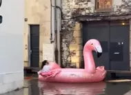 photo  une « bouée flamant rose géante » a pu être aperçue dans les rues d’angers ces derniers jours (maine-et-loire). 