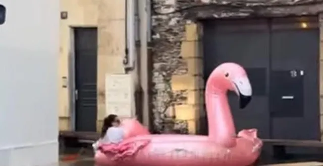 photo  une « bouée flamant rose géante » a pu être aperçue dans les rues d’angers ces derniers jours (maine-et-loire).  &copy;  capture d’écran instagram / angers syndic gestion 