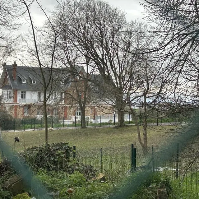 Le Château Bonheur, caché au milieu des arbres et des grillages. Ouest-France photo le château bonheur, caché au milieu des arbres et des grillages. © ouest-france